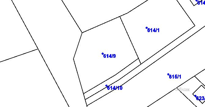 Parcela st. 614/9 v KÚ Doudlevce, Katastrální mapa