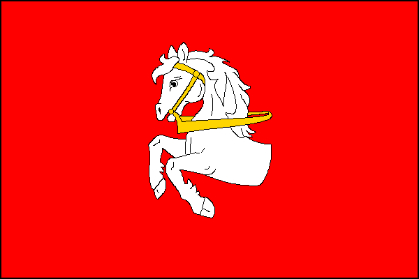 Pardubice - vlajka
